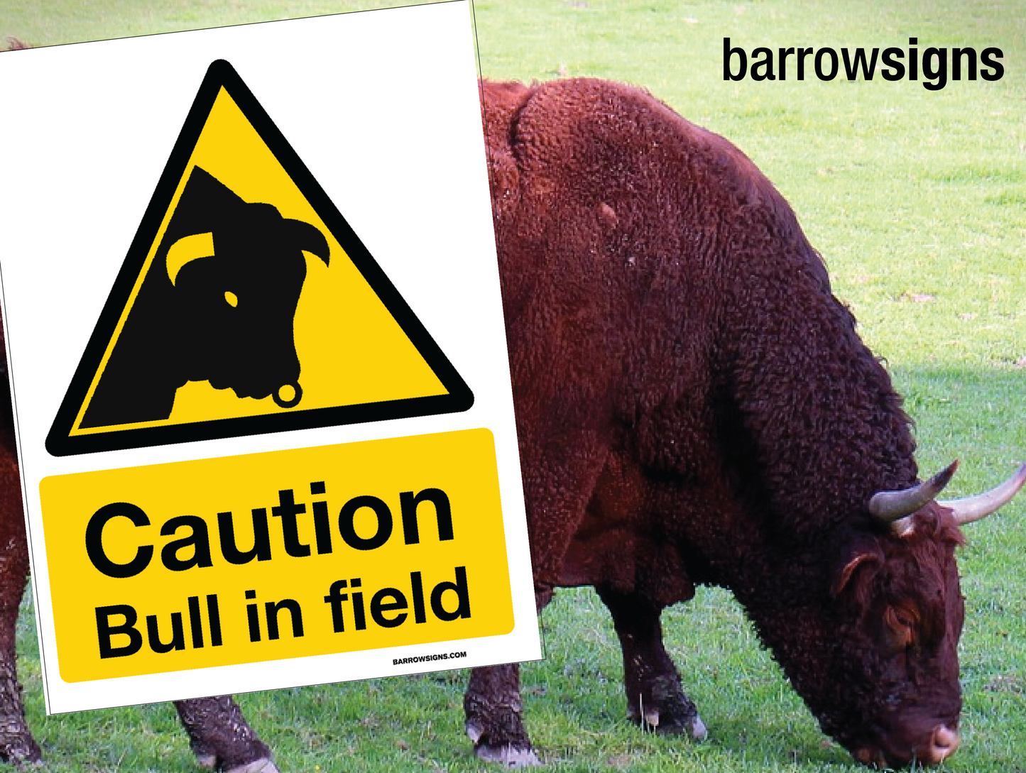 Caution Bull In Field Warning Sign