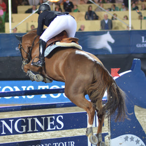 Equestrian Signage