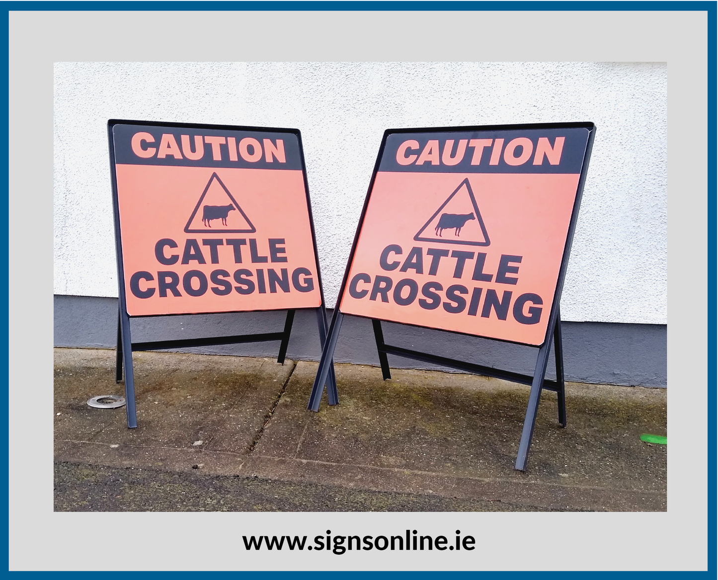 CAUTION CATTLE CROSSING SIGNS ON STEEL STANDS FROM WWW.SIGNSONLINE.IE FREE DELIVERY