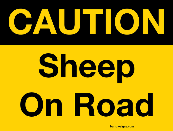 Caution Sheep On Road