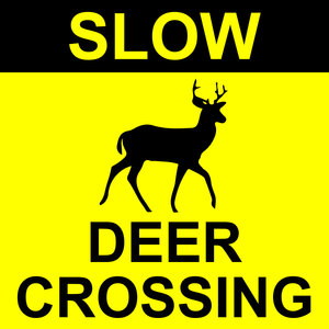 SLOW DEER CROSSING