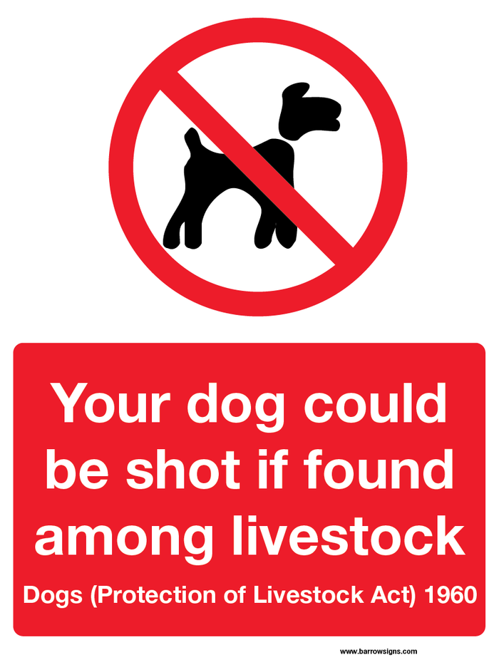 Dogs May Be Shot If Found Among Livestock