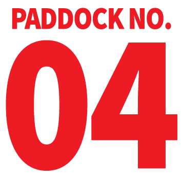 Paddock Sign Numbers