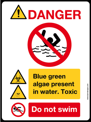 DANGER! ALGAE IN WATER DO NOT SWIM